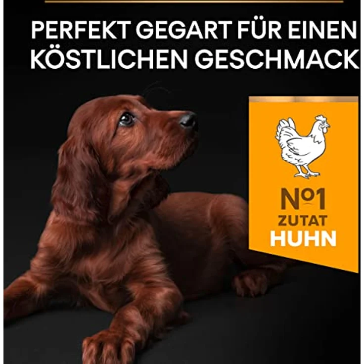 PRO PLAN Puppy Large Athletic Healthy Start Huhn, Hundefutter für Welpen großer Rassen, 12 kg – Bild 4