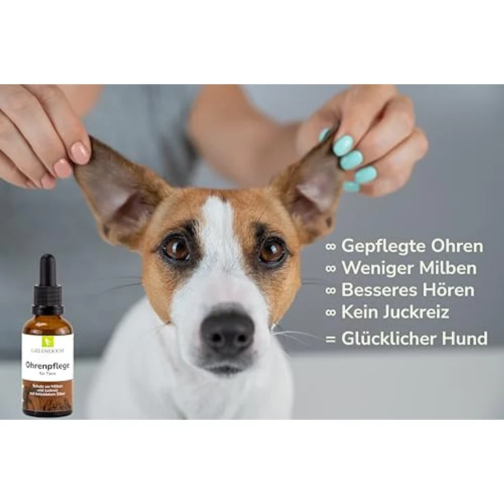 GREENDOOR Ohrenpflege für Hunde mit kolloidalem Silber, 50 ml, natürliche Formel mit Urea, Borretschöl und Salbeiöl, Glasflasche mit Pipette, sanfte Pflege und Akutanwendung – Bild 5