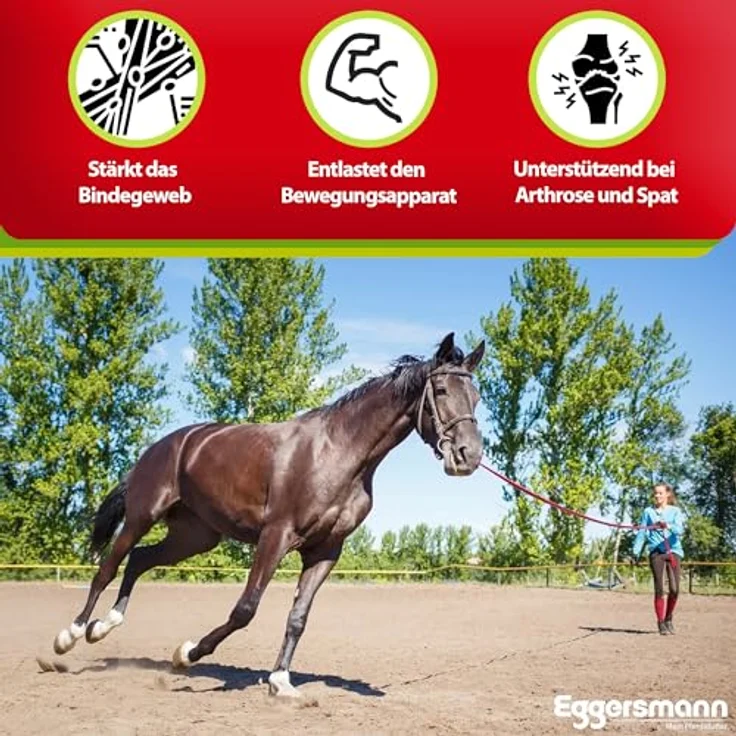 Eggersmann Mein Pferdefutter Profi Gelenk aktiv, Ergänzungsfuttermittel für Pferde & Ponys zur Unterstützung von Sehnen & Gelenken, 1 kg, hohe Qualität – Bild 3