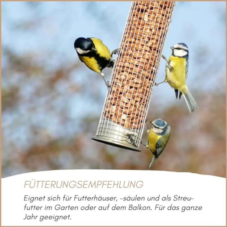 Supravit gehackte Erdnüsse Vogelfutter, 2,5kg fettreiche Erdnusskerne für Wildvögel, natürlich und ungesalzen, artgerecht und schalenfrei – Bild 5