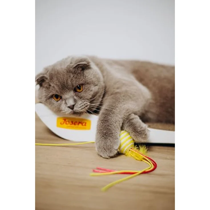 Josera Paté Kitten, Katzen-Nassfutter, 16x85g, vielfältige Geschmackssorten – Bild 8