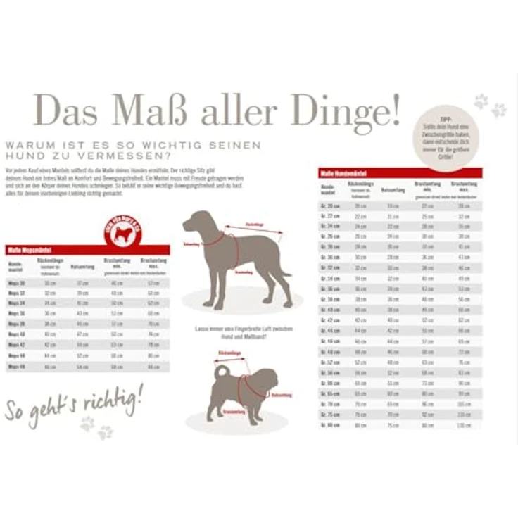 Wolters Hunderegenmantel Easy Rain, wasserdichte Regenjacke für Hunde, atmungsaktiv und windabweisend, moosgrün – Bild 2