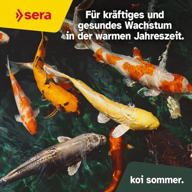 sera KOI Professional Koifutter 7 kg (21L), Sommerfutter für Koi bei Temperaturen über 17°C, geringere Wasserbelastung, weniger Algen – Bild 5