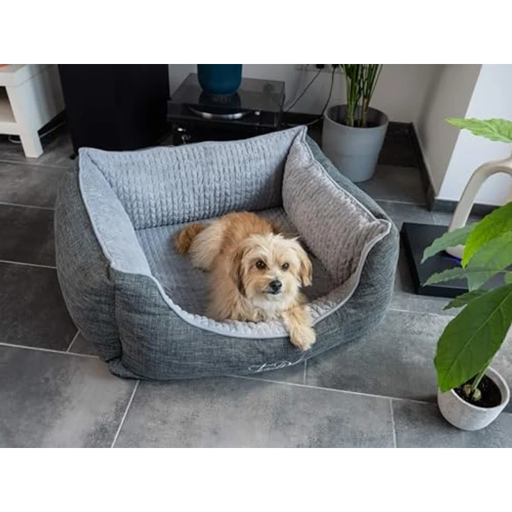 TrendPet VitaBed, Orthopädisches Hundebett mit 5cm Memofoam, Bezug abnehmbar und waschbar, 80x70cm – Bild 4