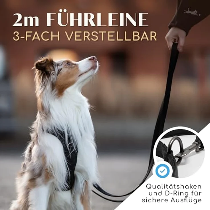 FREUDENTIER Hundeleine 2m Clyde, verstellbare Führleine für mittelgroße & große Hunde, schwarz, weich gepolstert, reflektierend, 25mm breit – Bild 2