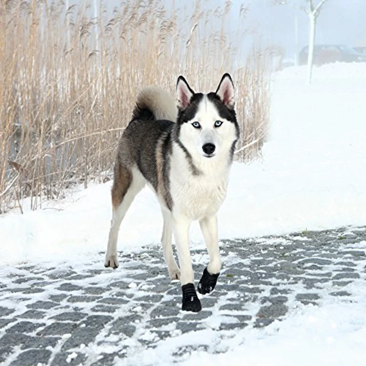 Trixie Pfotenschutz Walker Active 2 Stück schwarz XL – Bild 3