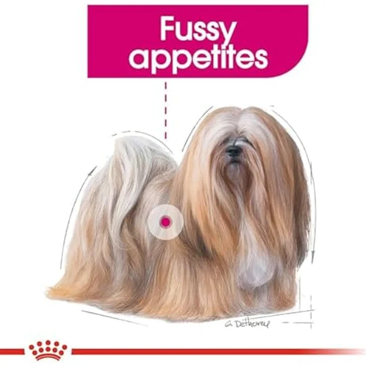 Royal Canin CCN Exigent Mini, 1kg Trockenfutter für wählerische kleine Hunde bis 10 kg, vollwertige Ernährung mit knusprigen Kissenstückchen – Bild 5