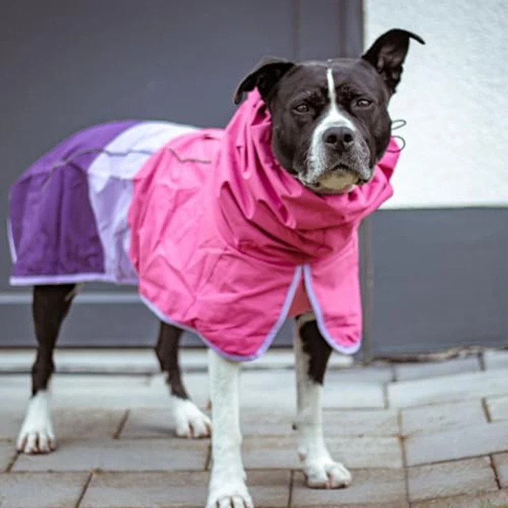 Spark Paws Hunderegenmantel, wasserdicht und winddicht, atmungsaktiver Trockenanzug für Hunde, reflektierend, in Rosa - Größe M – Bild 5