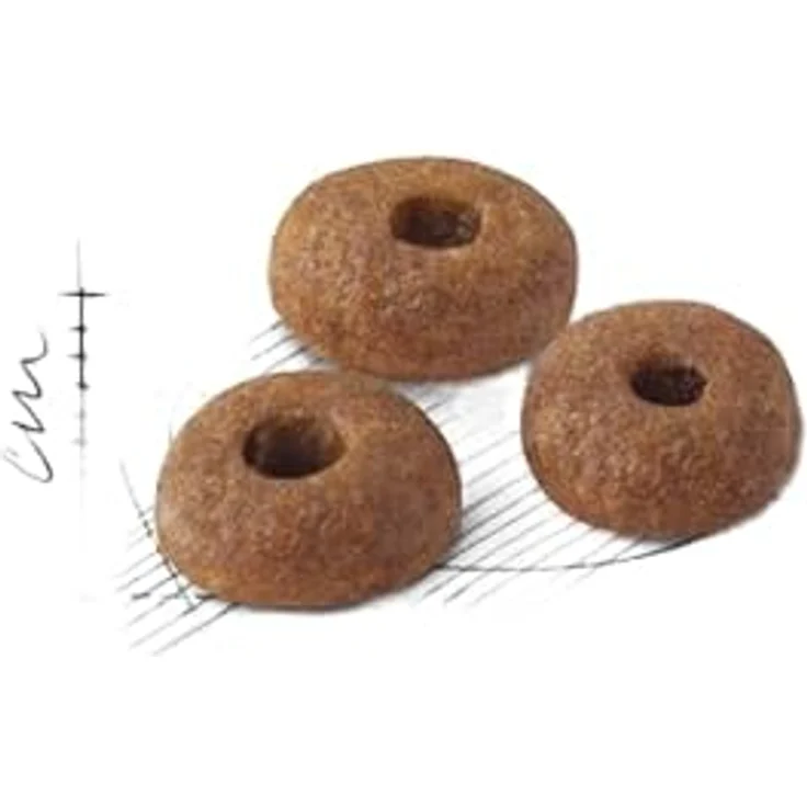 Royal Canin FIT 32 Regular, Katzen-Trockenfutter für aktive Katzen, Doppelpack 2 x 400 g, reduziert Fellballenbildung – Bild 5