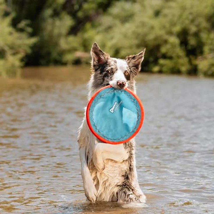 Chuckit! CH221301 Paraflight Large, Hundespielzeug Frisbee mit robustem Nylon, 24,5 cm, unsinkbar und gut sichtbar in Signalfarben – Bild 2