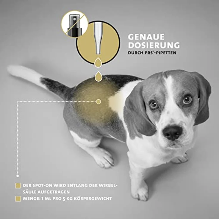 Peticare® PetDog Protect 2161, Zeckenschutz Spot-On für Hunde, pflanzlich, Fipronil-frei, wasserfest, 24h Langzeitwirkung durch PRS® System – Bild 5