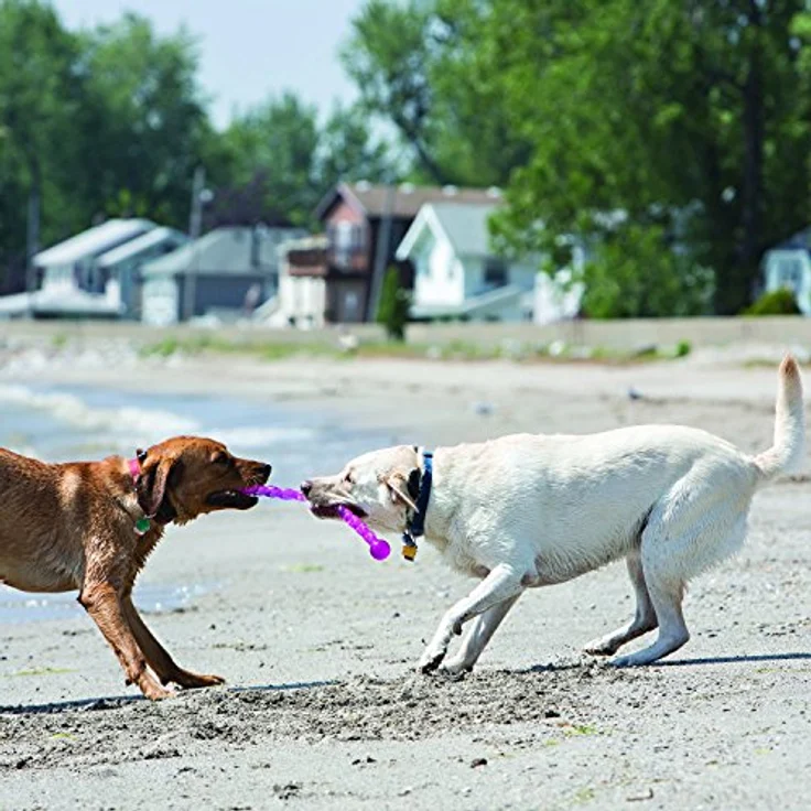 KONG Safestix M, Hundespielzeug aus robustem Kunststoff, schwimmfähig, zufällige Farbwahl – Bild 2