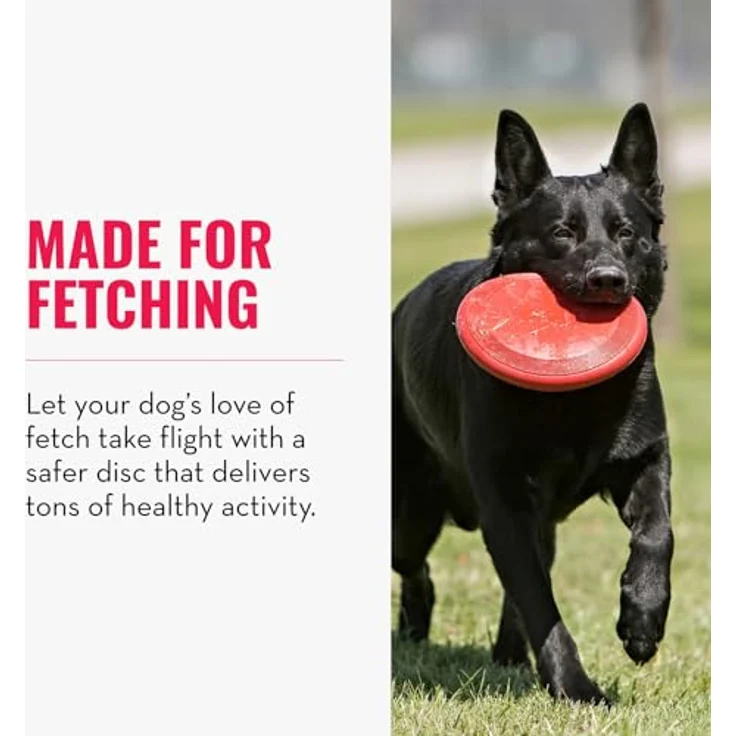KONG Flyer, Langlebiges Outdoor Hundespielzeug aus Naturkautschuk, Wurfscheibe für Mittelgroße/Große Hunde, dynamischer Rückprall, strapazierfähig – Bild 3