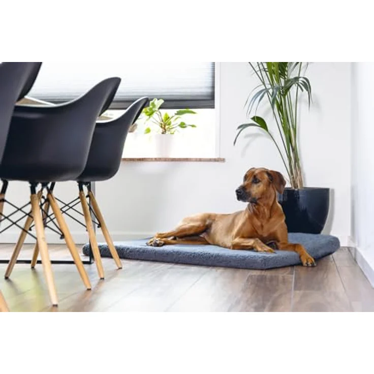 Beeztees Tierkissen Memory Foam Liegekissen Ito dunkelgrau, orthopädisches Hundekissen mit Sherpa-Fleece Material – Bild 3