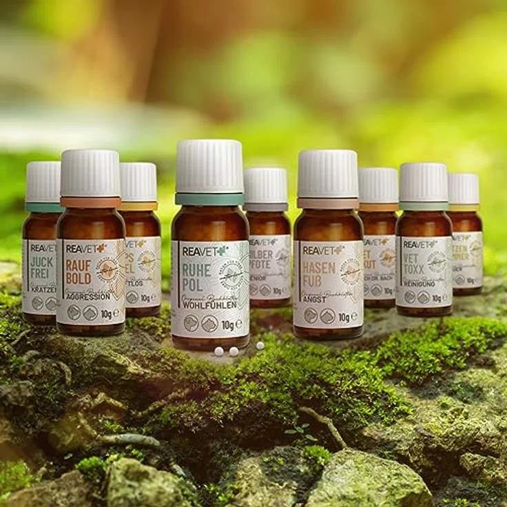 ReaVET Bachblüten Globuli für Hunde und Katzen, Juckfrei 10g, natürliche Unterstützung bei Juckreiz, Schuppen & Milbenbefall, nach Dr. Bach, made in Germany – Bild 2