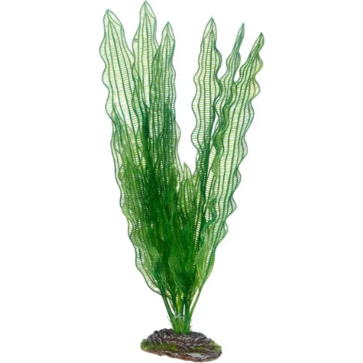 HOBBY Aquariendeko Aponogeton 39 cm, künstliche Aquariumpflanze mit natürlicher Bewegung und stabilem Felsenständer – Bild 1