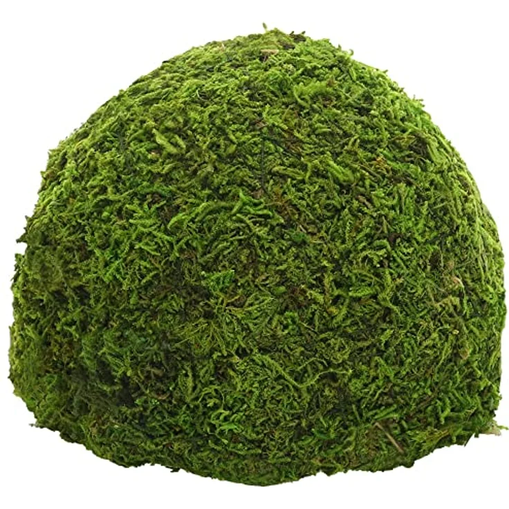 Hobby 34600 Jungle Cave, Terrarien-Dekoration zur Luftfeuchtigkeitsstabilisierung, aus erneuerbaren Ressourcen, naturgetäuscht – Bild 3