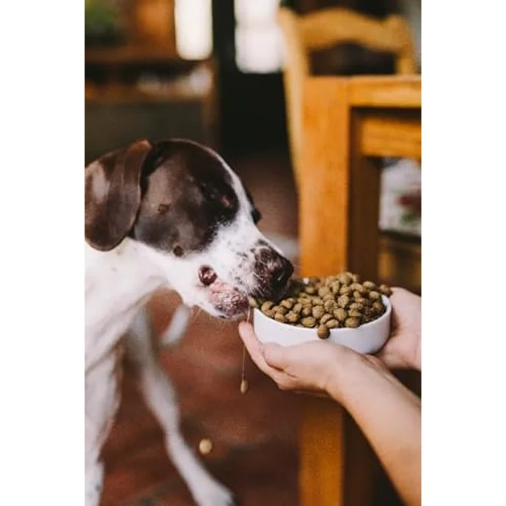 Green Petfood InsectDog Mini, Hundefutter für kleine Hunde mit Insektenprotein, 900 g, getreidefrei – Bild 8