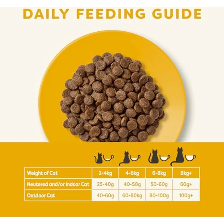 Applaws Trockenfutter Kitten, Hähnchen, 2 kg - Ohne Zuckerzusatz, ohne künstliche Farb- und Aromastoffe, fördert Wohlbefinden und Neugier – Bild 4