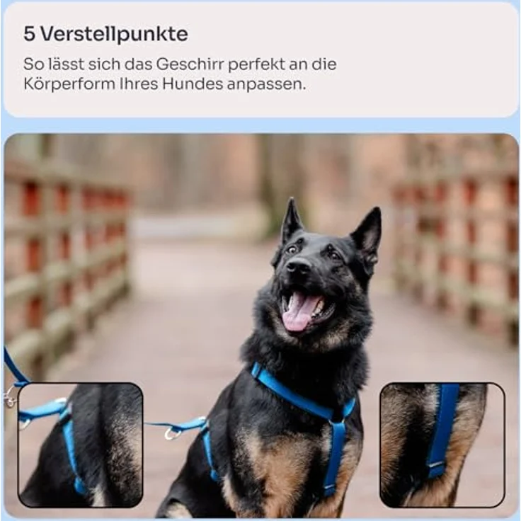 Chaba Guard Hundegeschirr Größe S, ergonomisches Anti-Zug Brustgeschirr für kleine Hunde, blau, verstellbar, bequem und leicht – Bild 4