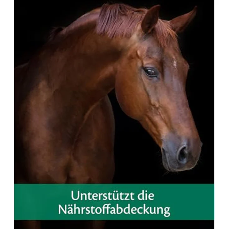 EQUISTRO® Mega Base, Ergänzungsfuttermittel für Pferde zur Nährstoffbedarfsdeckung, Mineralstoff- und Vitaminmischung, 10kg – Bild 4