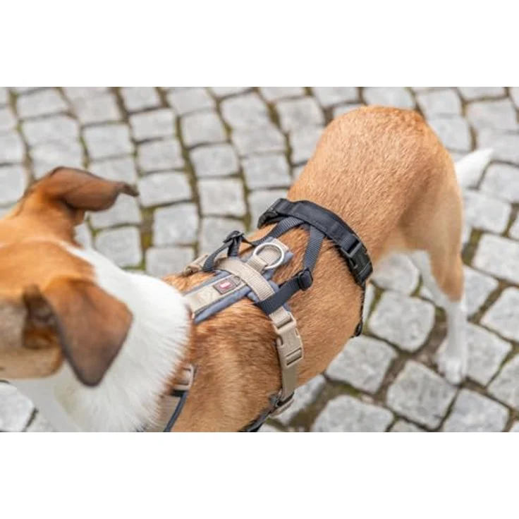 TRIXIE Panik-Adapter Stay für Geschirre, L–XL: 59–92 cm/25 mm, schwarz, mit Neopren-Polsterung und stufenloser Verstellbarkeit – Bild 7