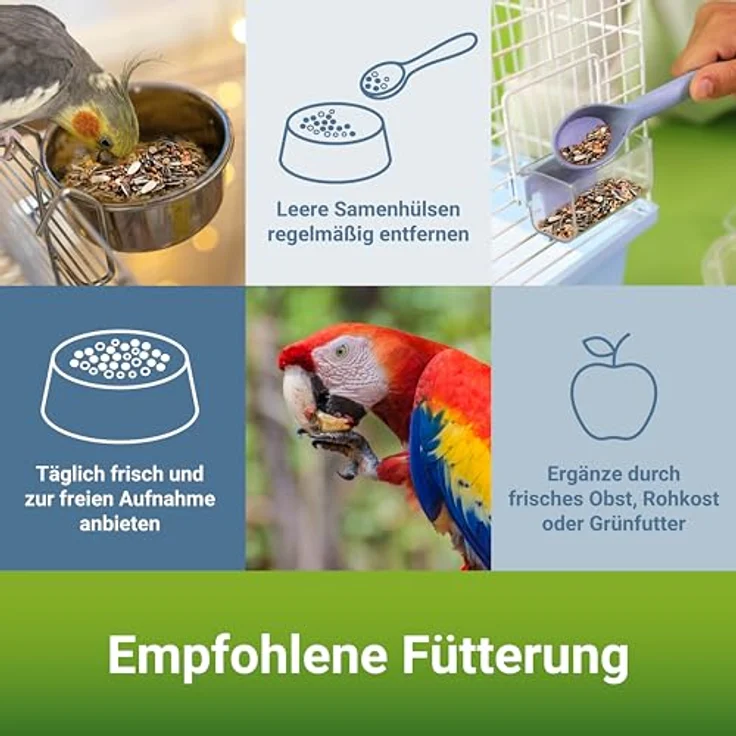 PANTO Großsittich- und Papageienfutter mit Pluramin, 4x2,5 kg - Bunte Saatenmischung mit Sonnenblumenkernen für vitale Ziervögel – Bild 4