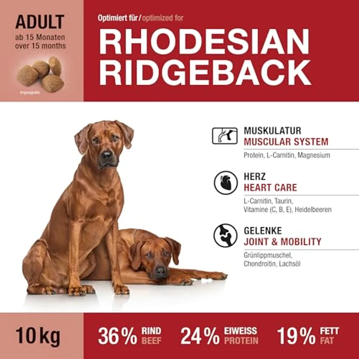 Wildsterne Breed Selection Rhodesian Ridgeback, 10 kg | Getreidefreies Trockenfutter mit Monoprotein aus Rind | Von Tierärzten entwickelt, für Muskulatur und Gelenkgesundheit – Bild 2