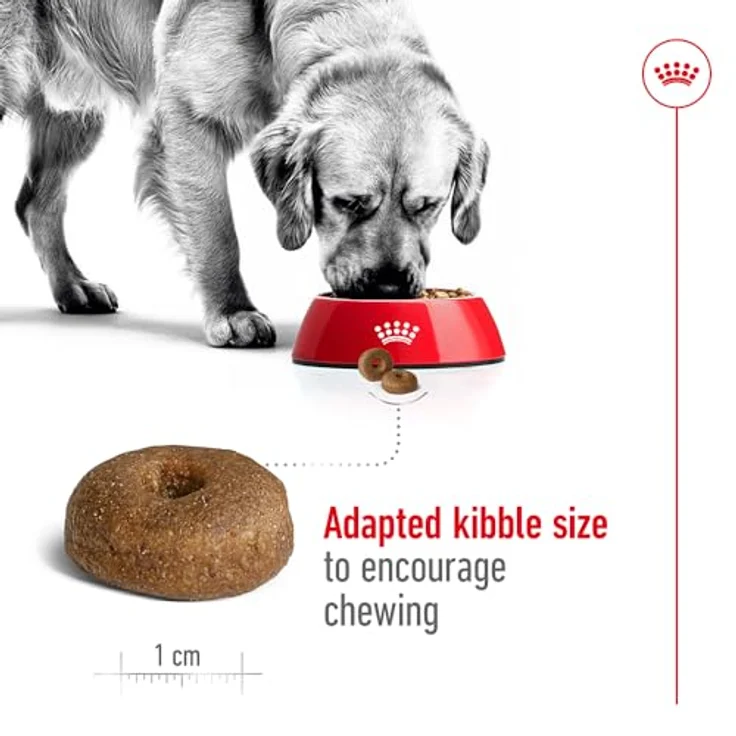 Royal Canin MAXI Ageing 8+, Trockenfutter für große Senior Hunde (26-44 kg), 2x15kg – Bild 6