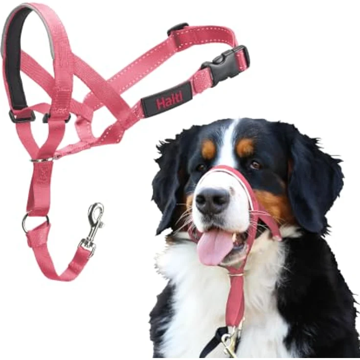 Halti Kopfgeschirr für Hunde, Größe 4, rosa, mit reflektierenden Elementen und gepolstertem Nasenriemen – Bild 1
