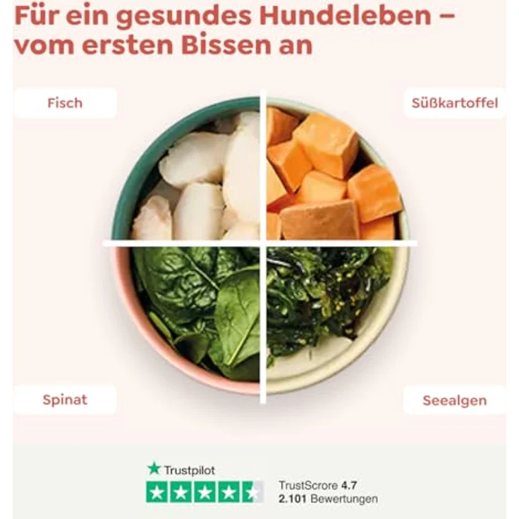 WOW Adult Lachs, Premium Hunde-Trockenfutter für alle Rassen, 6 kg, glutenfrei und reich an Omega-3-Fettsäuren – Bild 4