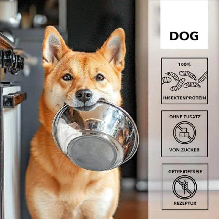 entoVITAL Dog SENSITIV Nassfutter mit Insektenprotein, Kartoffel, Zucchini, Pastinake & Spinat, 6 x 750 g - Getreidefreies Alleinfuttermittel für empfindliche Hunde – Bild 5