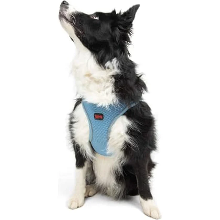 Tailpetz Air-Mesh Brustgeschirr für kleine und mittelgroße Katzen und Hunde – Weich, Atmungsaktiv, Reflexstreifen, Blau, XL (Brustumfang 66–70cm) – Bild 1