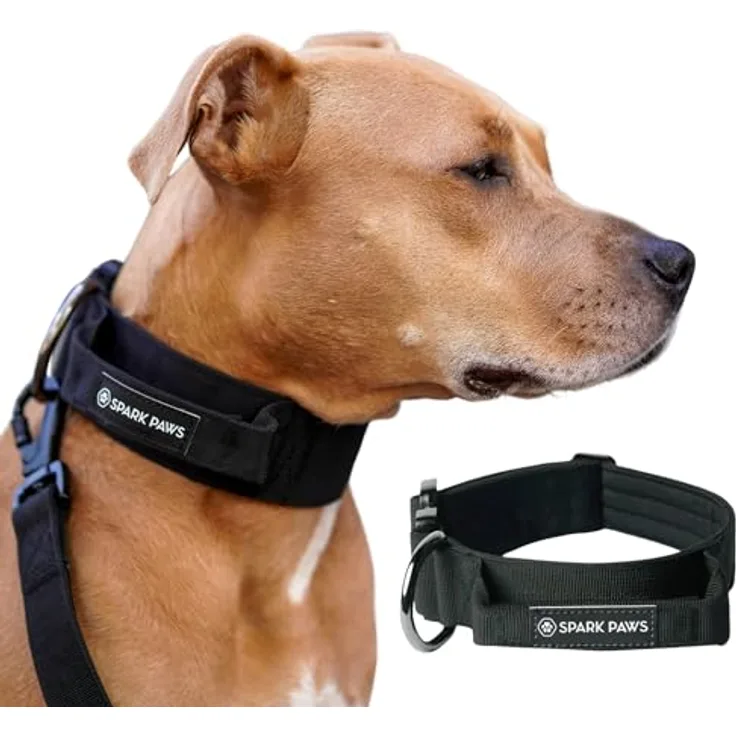 Spark Paws Taktisches Hundehalsband, strapazierfähig und langlebig für große und mittelgroße Hunde, Schwarz, S: 16-25kg [3.8cm]