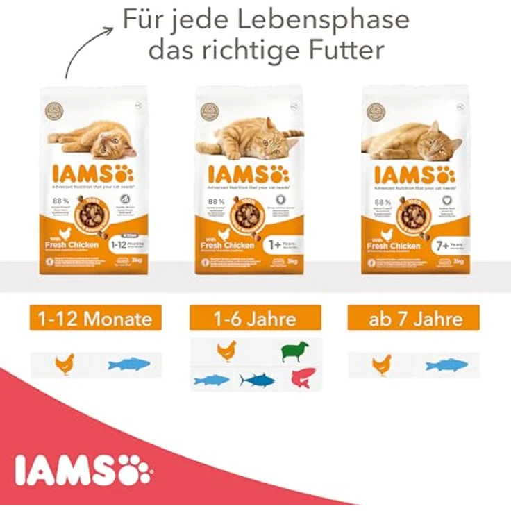 IAMS Katzenfutter trocken mit Lachs, 3 kg - Vollwertiges Trockenfutter für Katzen (1-6 Jahre), reich an tierischen Proteinen, weizenfrei, ohne künstliche Zusätze – Bild 4