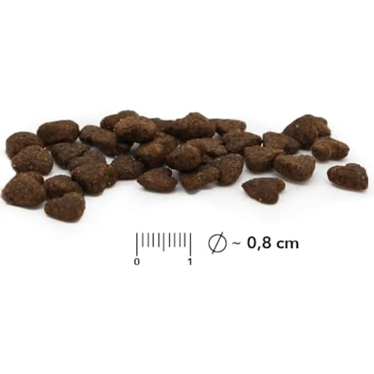 entoVITAL Dog Puppy - Trockenfutter mit Insekten, Süßkartoffel & Kartoffel, Monoprotein, 10 kg, Premium Alleinfuttermittel – Bild 2