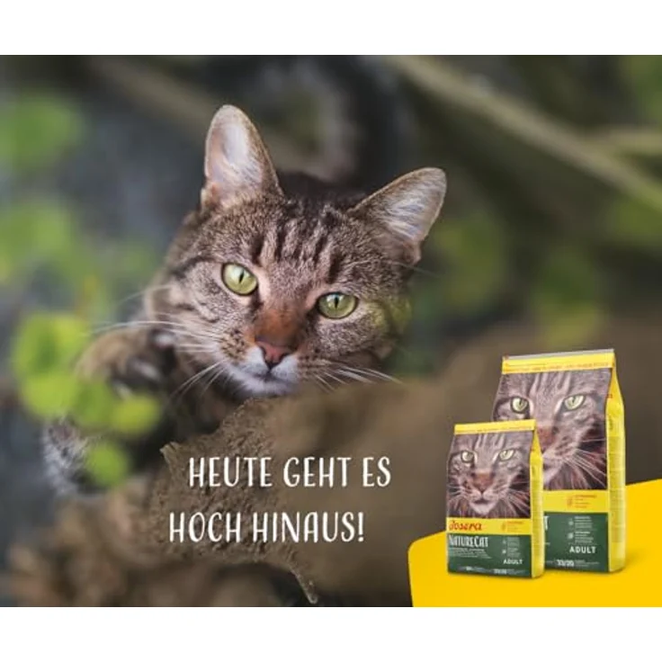 JOSERA NatureCat Adult Trockenfutter, getreidefrei, mit Lachs & Geflügel, 10 kg, Premium Katzenfutter mit Kräutern & Früchten – Bild 5