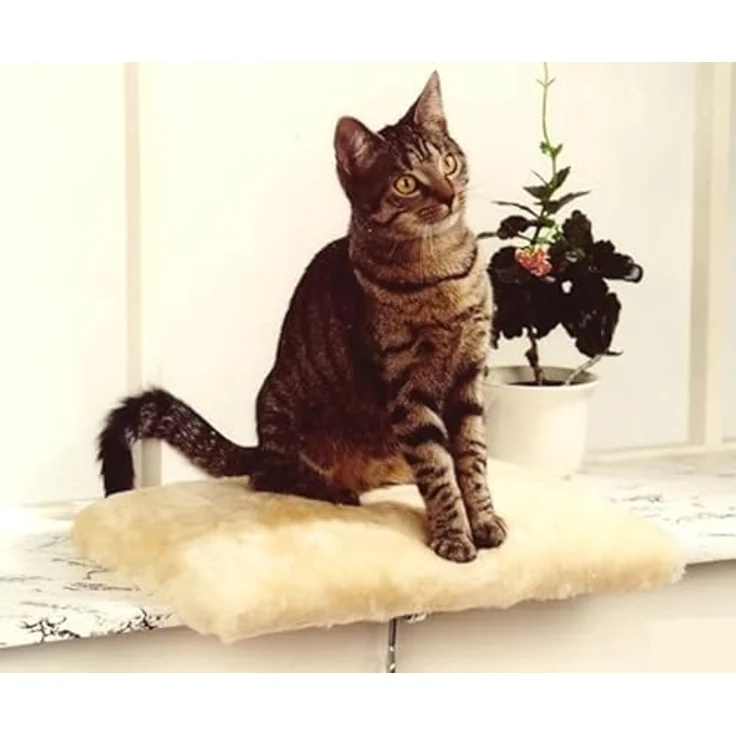 Rohrschneider Fensterliege, gepolstert für Katzen, inklusive Gratis-Spielball, beige – Bild 2
