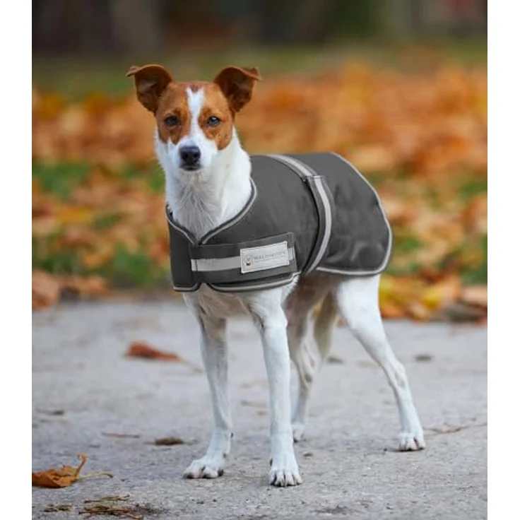 Waldhausen Hundemantel Comfort Line, wasserdichte Hundedecke mit 200g Thermofüllung und strapazierfähigem 1200 Denier Außenmaterial, Größe 35-65 cm – Bild 2