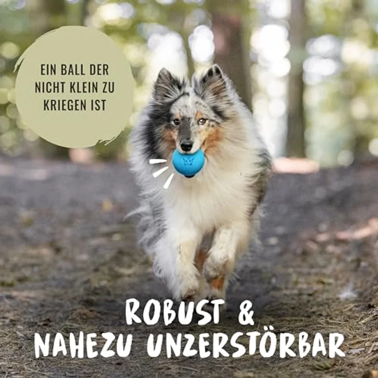 Rudelkönig Hundebälle aus Naturkautschuk, 2er Set mit 6,5cm Ø, nahezu unzerstörbar und bissfest für gesunde Zähne von Hunden – Bild 2