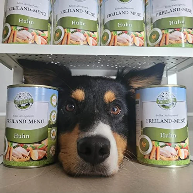 Bellfor Dackel Futter Set, getreidefrei und glutenfrei, 3,11 kg, ohne künstliche Zusatzstoffe, ideal für sensitive Hunde – Bild 5
