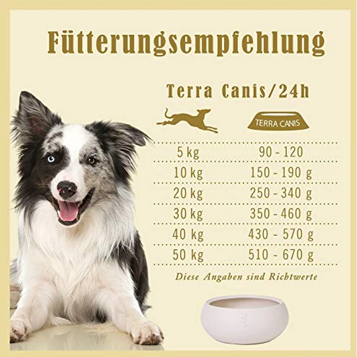 Terra Canis Canireo Rind, Hunde-Trockenfutter aus natürlichen Zutaten, 5kg – Bild 4