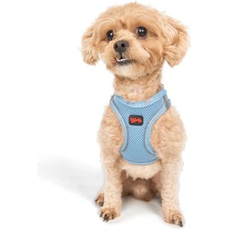 Tailpetz Air-Mesh Brustgeschirr für kleine und mittelgroße Katzen und Hunde – Weich, Atmungsaktiv, Strapazierfähig, Blau, 3XS (Brustumfang 28–30,5 cm) – Bild 1