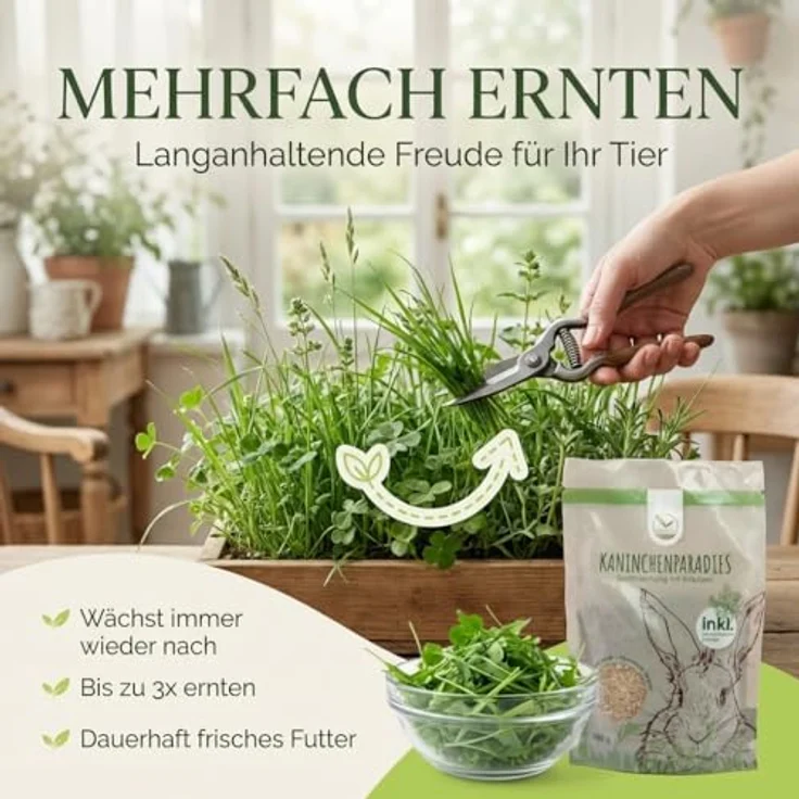 HappySeed Kaninchenwiese Samen, 100g Saatgut für vitaminreiche Ernährung von Kaninchen und Kleintieren, Pflegeleicht und ganzjährig anbauend – Bild 5