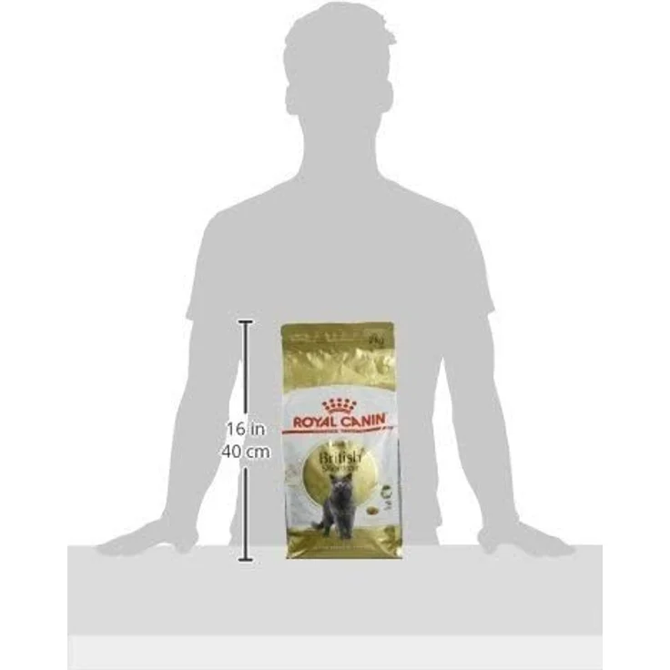 Royal Canin Feline British Shorthair, Trockenfutter für Katzen, 2 kg Beutel – Bild 2