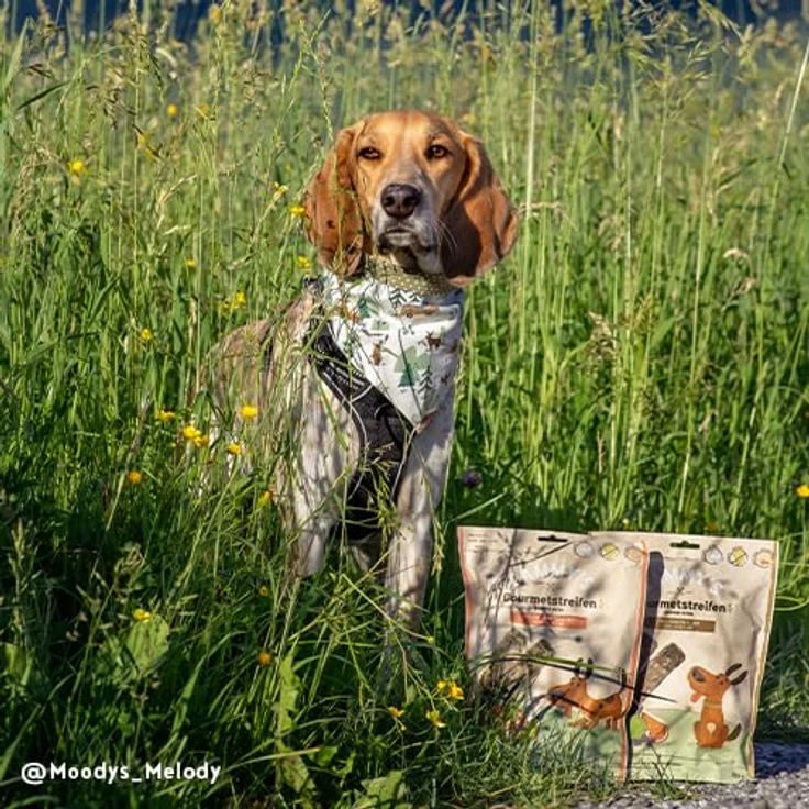 Bosch Sammy´s Gourmetstreifen Hühnchen und Lamm, Hundesnack für kleine und große Hunde, 180g – Bild 5