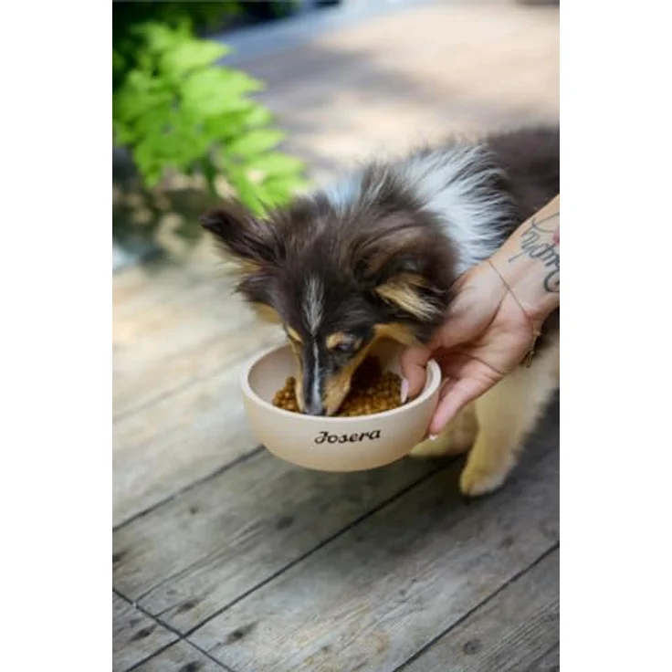 Josera Mini Adult Lamb, Hundefutter für kleine Hunde mit Monoprotein, 10 kg – Bild 4