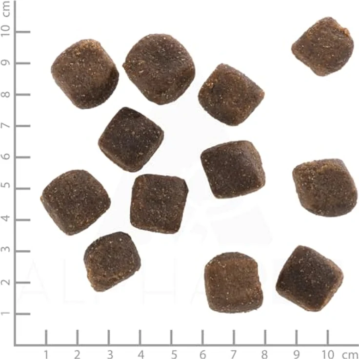 Wolfsblut Squashies Dark Forest, Getreidefreie Hundesnacks mit Wildfleisch und Süßkartoffeln, 300g – Bild 3