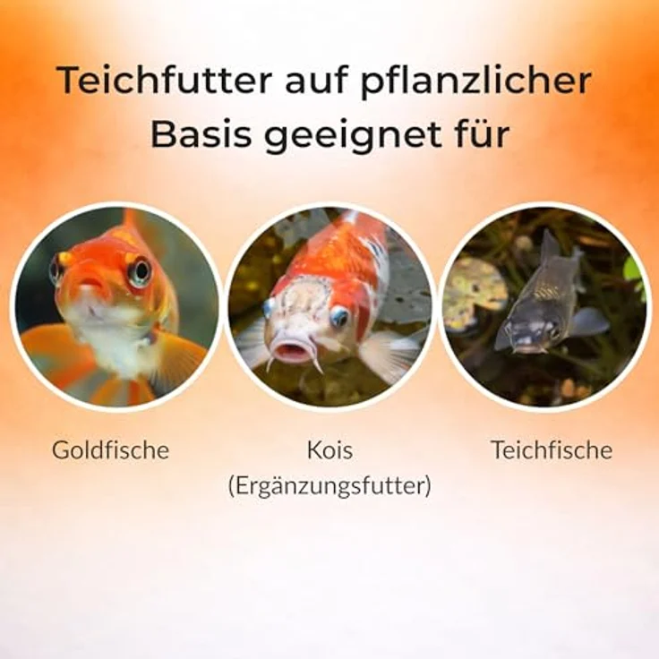 Blumixx Teichsticks 50L, Premium Fischfutter für Teichfische, schwimmend und leicht verdaulich, mit Vitaminen für klares Wasser – Bild 2