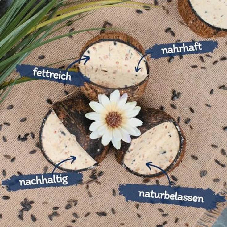 Lyra Pet® 3 x 4 Ganze Kokosnüsse mit V-Cut, Energiereiches Vogelfutter mit fetthaltiger Füllung, Ganzjahres Fettfutter für Wildvögel – Bild 2